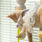 Interactief elektrisch rups kattenspeelgoed